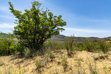 Similar image 22577185