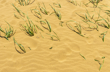 Similar image 22577206