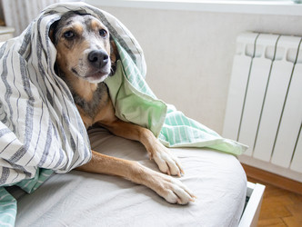 Similar image 22593338