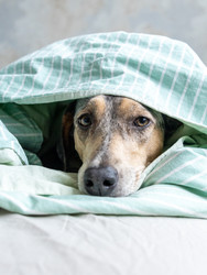 Similar image 22593339