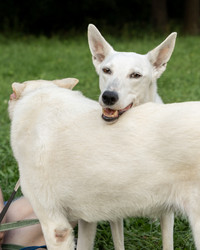 Similar image 22593353