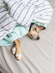 Similar image 22593355