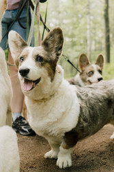 Similar image 22593357