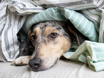 Similar image 22593208