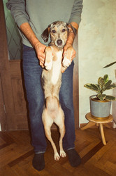 Similar image 22593221