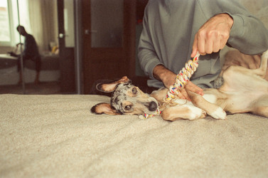 Similar image 22593223