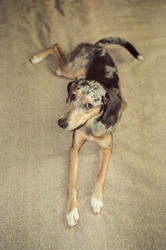 Similar image 22593225