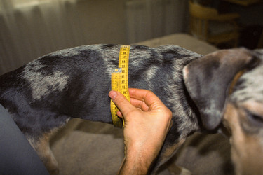 Similar image 22593226