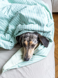 Similar image 22593227