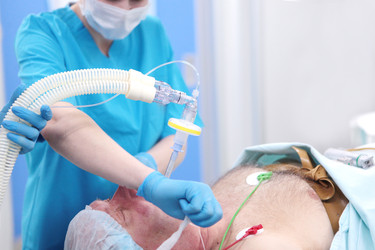 Similar image 22555430