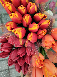 Similar image 22501417