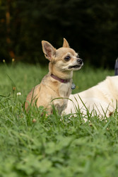 Similar image 22593278