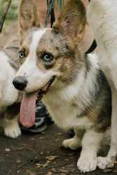 Similar image 22593279