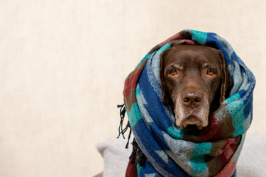 Similar image 22593280