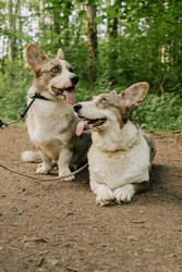 Similar image 22593281