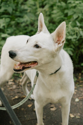 Similar image 22593294