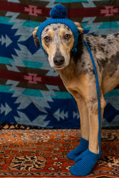 Similar image 22593295