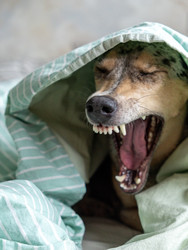 Similar image 22593296