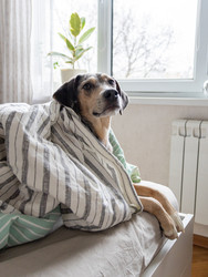 Similar image 22593297