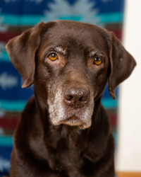 Similar image 22593298