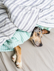 Similar image 22593299