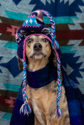 Similar image 22593301