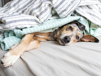 Similar image 22593303