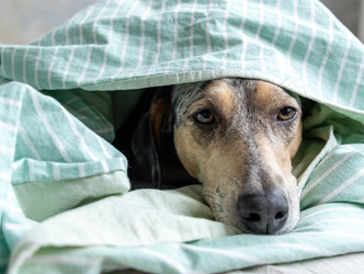 Similar image 22593308