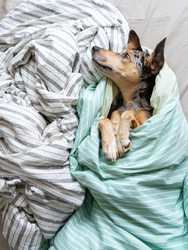 Similar image 22593309