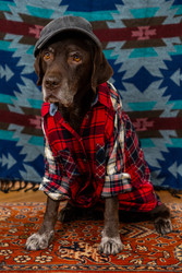 Similar image 22593310