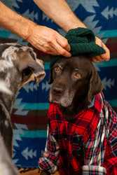 Similar image 22593311