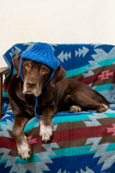 Similar image 22593312