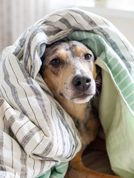 Similar image 22593313