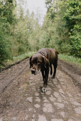 Similar image 22593314