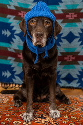 Similar image 22593323