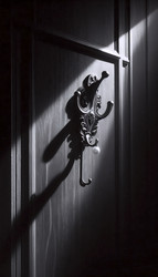 Similar image 22524230