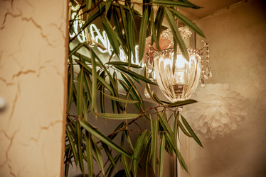 Similar image 22493819