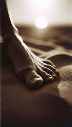 Similar image 22511677