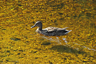 Similar image 22586550