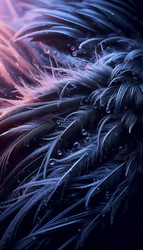 Similar image 22519859