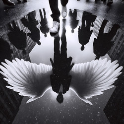 Similar image 22512895