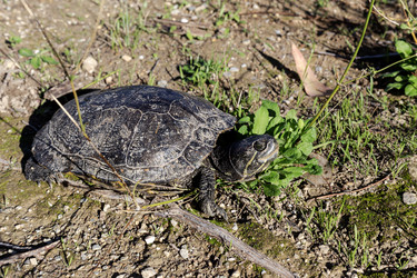 Similar image 22488121