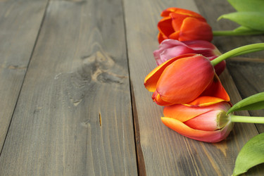 Similar image 22501433