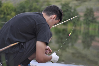 Similar image 22591651