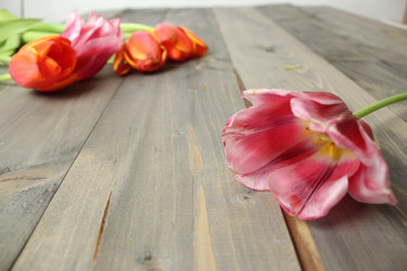 Similar image 22501435