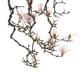 Similar image 22591674