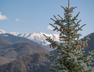 Similar image 22591677