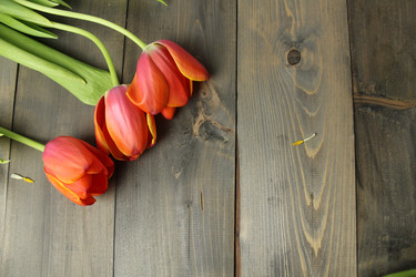 Similar image 22501447