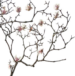 Similar image 22591686