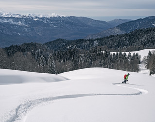 Similar image 22591687